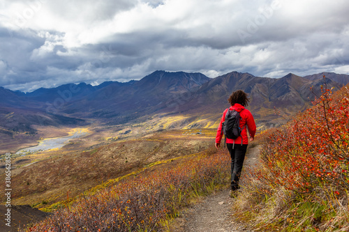 Scenic View of Woman Hiking on a Cloudy Fall Day in Canadian Nature. Taken in Tombstone Territorial Park  Yukon  Canada.