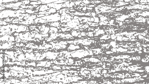 Douglas fir tree bark texture