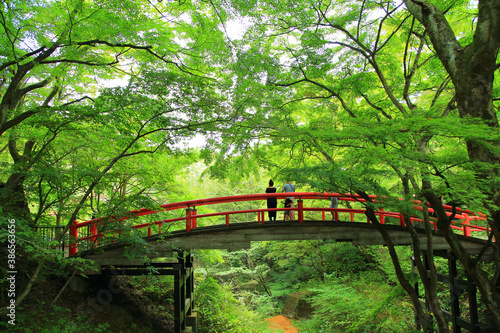 河鹿橋