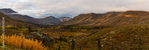 Beautiful Panoramic View of Colourful Fall Forest and Mountains in Tombstone on a Cloudy Morning. Tombstone Territorial Park, Yukon, Canada. Nature Background Panorama