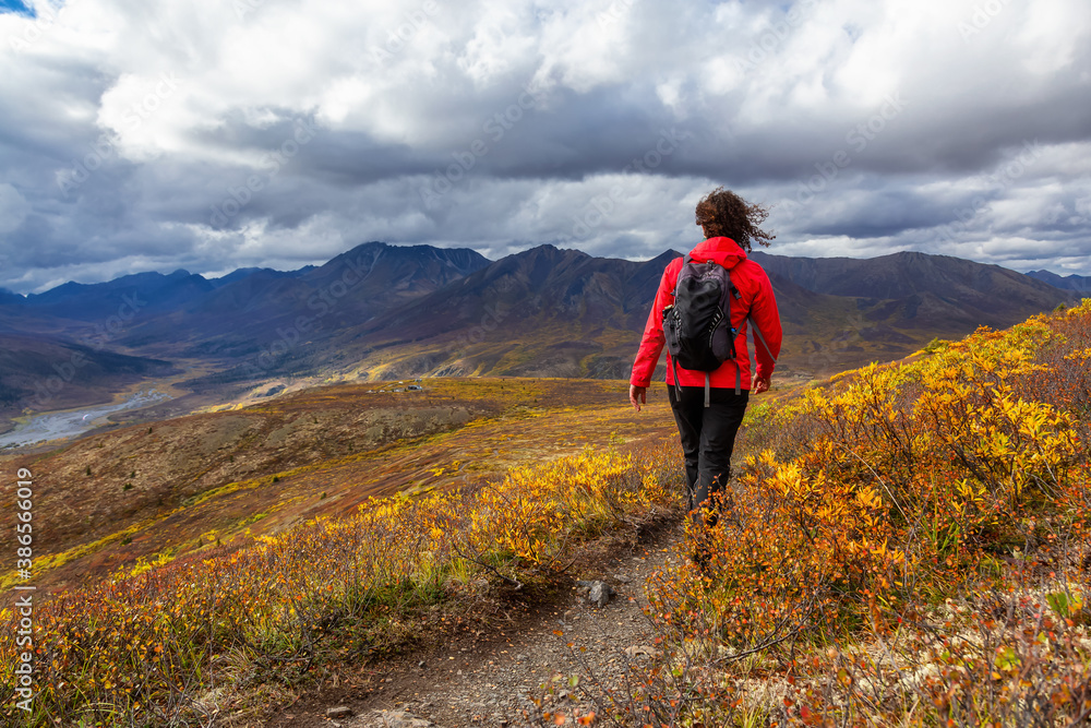 Obraz premium Scenic View of Woman Hiking on a Cloudy Fall Day in Canadian Nature. Taken in Tombstone Territorial Park, Yukon, Canada.
