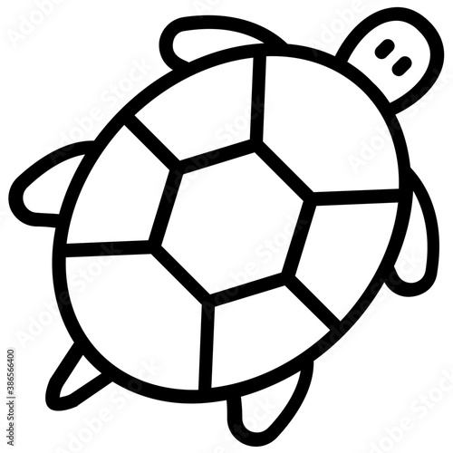 Turtle 