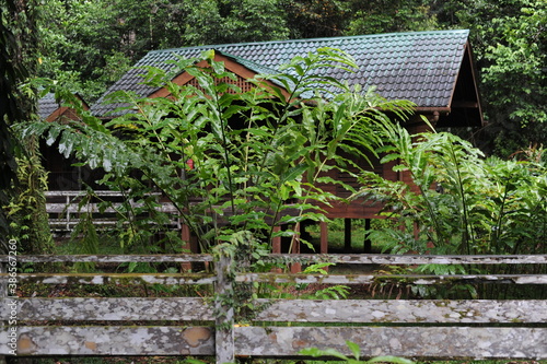 Woodem houses in tropical rainforest with lush nature in Borneo Island, Malaysia, Danum Valley Borneo Rainforest Lodge photo