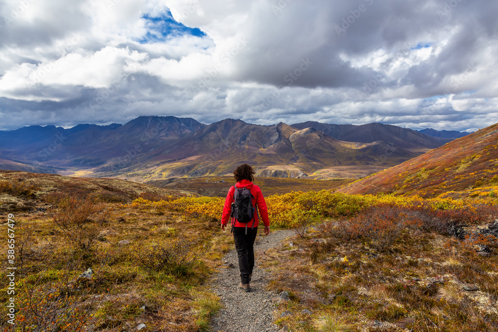 Scenic View of Woman Hiking on a Cloudy Fall Day in Canadian Nature. Taken in Tombstone Territorial Park, Yukon, Canada.