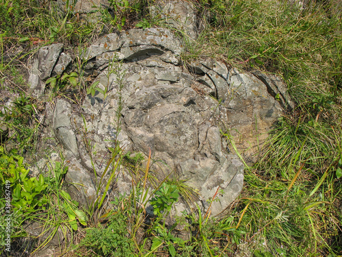 Volcano stone rose at Baranovsky Volcano, Vladivostok, Russia  photo