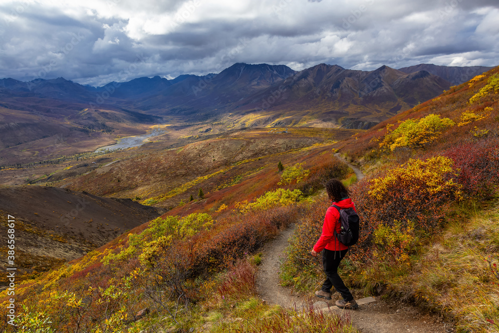 Scenic View of Woman Hiking on a Cloudy Fall Day in Canadian Nature. Taken in Tombstone Territorial Park, Yukon, Canada.