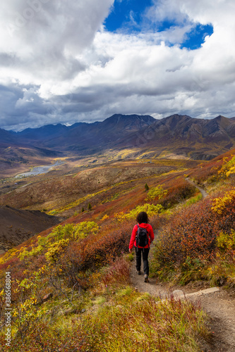 Scenic View of Woman Hiking on a Cloudy Fall Day in Canadian Nature. Taken in Tombstone Territorial Park, Yukon, Canada. © edb3_16