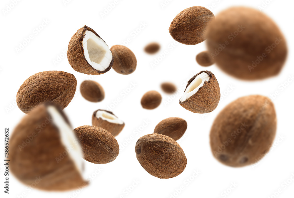 Whole and half cocoanuts levitate on a white background Whole and half cocoanuts levitate on a white background