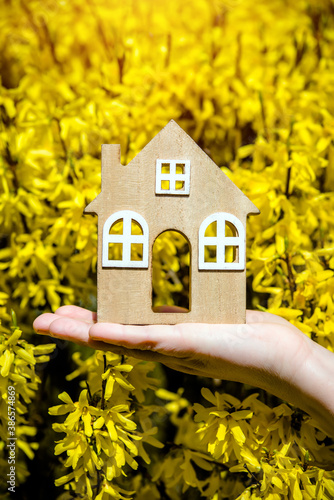 The girl holds the house symbol against the background of blossoming forsythia
