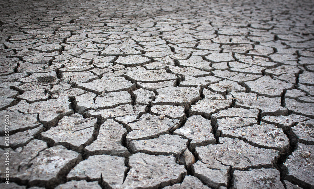 Dried land suffering from drought. Crackled clay texture Dried land suffering from drought. Crackled clay texture