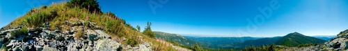 beautiful panorama with alpine pine and mountains under blue sky © mikhailgrytsiv