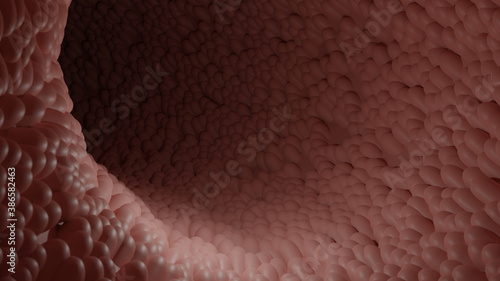 Inside Intestine.Intestinal villi 3d rendered illustration. photo