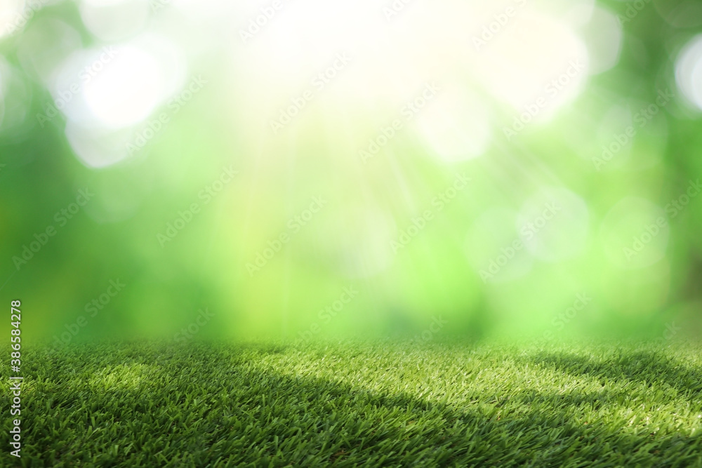 Obraz premium Natural green background It is a lawn with a blurred green background. Bokeh can be used as a background.