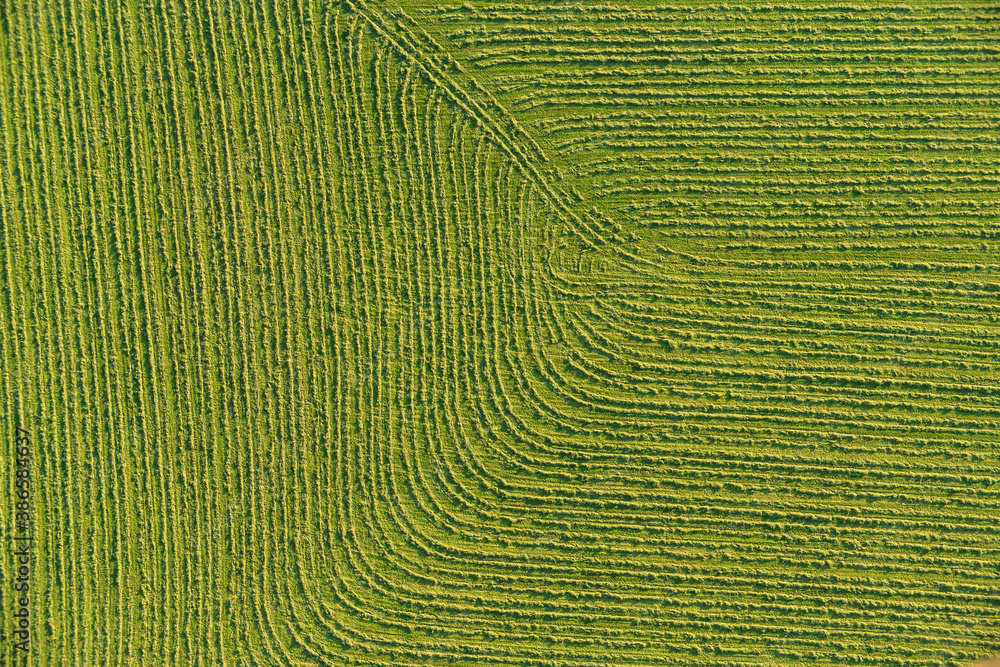 Fototapeta premium Feld von oben