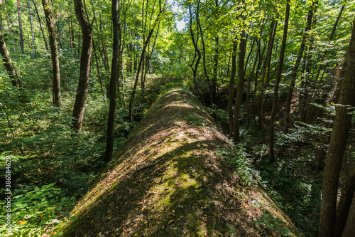 old abandoned underbridge from the reichsautobahn in the forest photo