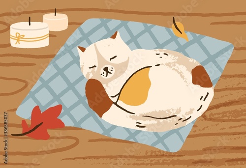 Cute hand drawn cat sleeping on carpet surrounded by autumn leaves and candles vector flat illustration. Domestic animal relax lying on wooden floor. Cozy fall atmosphere