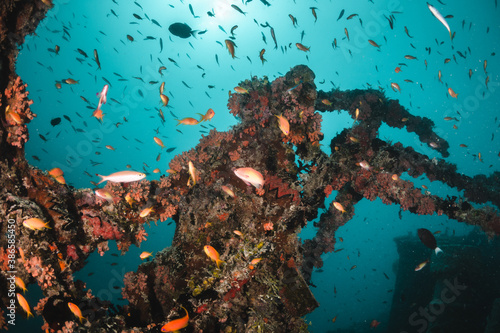 Underwater ship wreck surrounded by small tropical fish in blue ocean