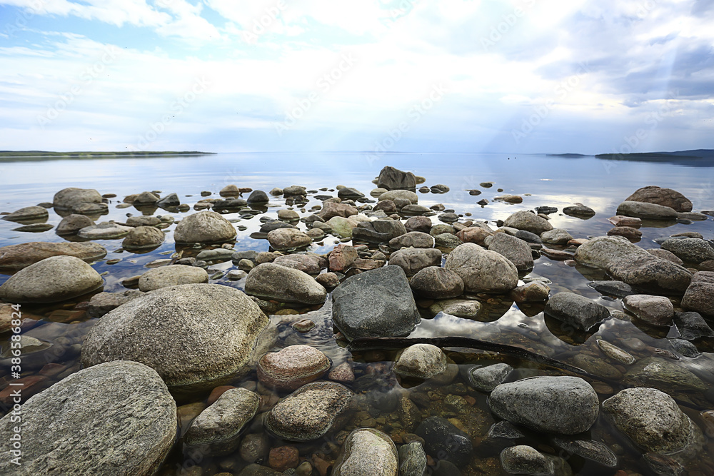 lakeside landscape summer view, nature of the north, coast ecology