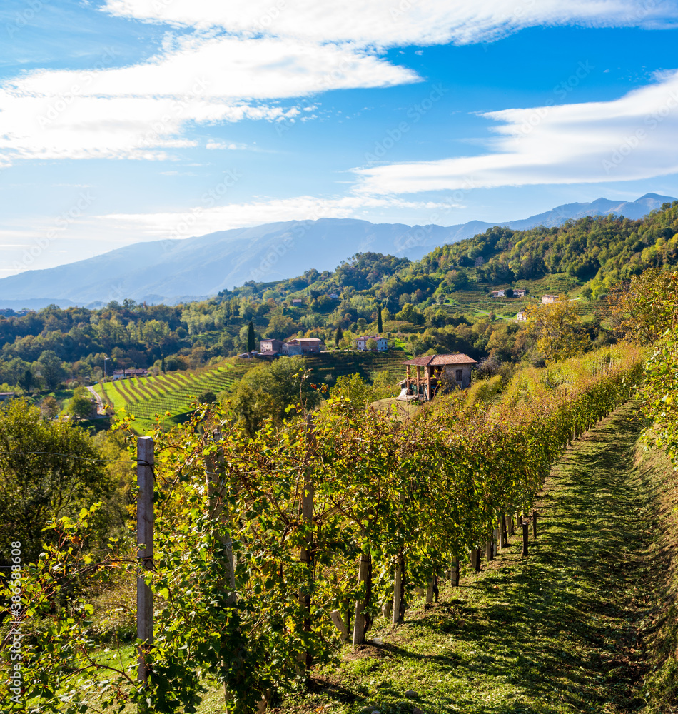 Italian vineyards landscape. View at panorama of small village at Valdobbiadene, Veneto area wine country of Prosecco Superiore.