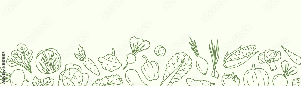 Horizontal background with with various vegetables and a place for text. Vegan backdrop with organic natural products. Line art vector monochrome illustration - obrazy, fototapety, plakaty 