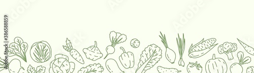 Horizontal background with with various vegetables and a place for text. Vegan backdrop with organic natural products. Line art vector monochrome illustration