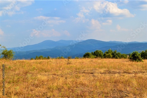 Bulgaria and views from cute and small villages during bright day. Forest, blue sky, mountain and yellow grasses are together in same photo.