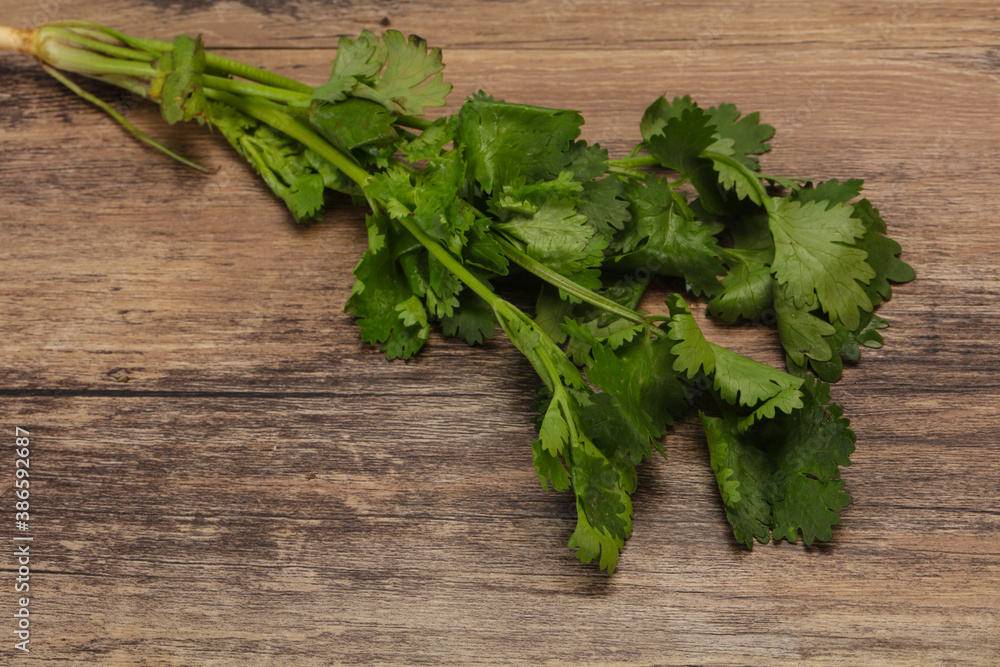 Fresh ripe Green cilantro leaves Fresh ripe Green cilantro leaves