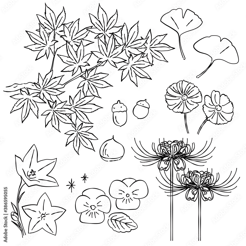 秋 紅葉 イチョウ 花 あしらい ペン画 手書き Stock ベクター Adobe Stock