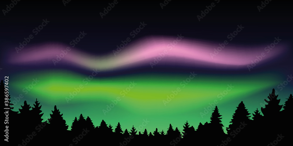 aurora borealis beautiful polar lights in forest vector illustration EPS10