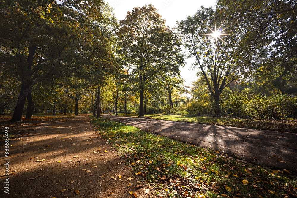 Fototapeta premium Wallanlagen Mainz im Herbst