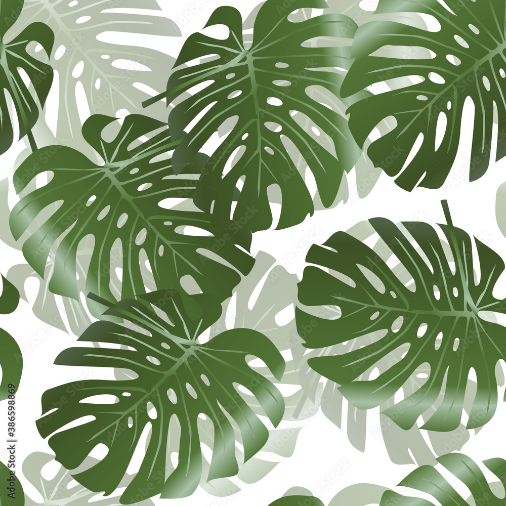 Pattern with large monstera leaves