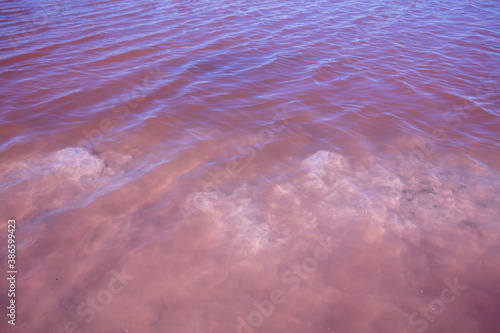 Salty Pink lake. Water nature background