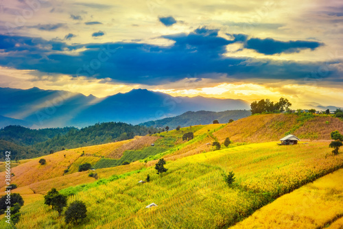 Panorama Aerial View of Pa Bong Piang terraced rice fields at sun set time  Mae Chaem  Chiang Mai Thailand.