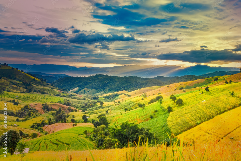 Panorama Aerial View of Pa Bong Piang terraced rice fields at sun set time, Mae Chaem, Chiang Mai Thailand.