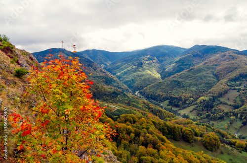 Fall landscape in the mountains. Mountain autumn scene with colorful trees in the forest