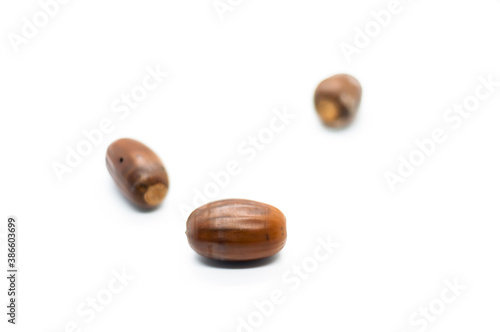 Acorns isolated on white background. Natural dried oak seeds.