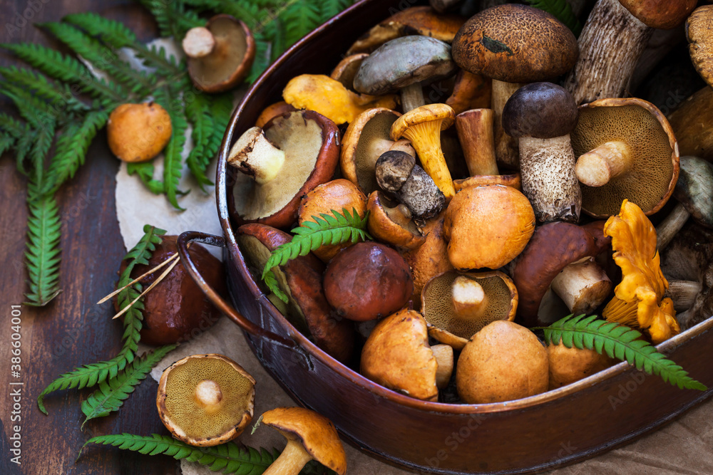 Fresh uncooked wild mushrooms on rustic wooden background, copy space Fresh uncooked wild mushrooms on rustic wooden background, copy space