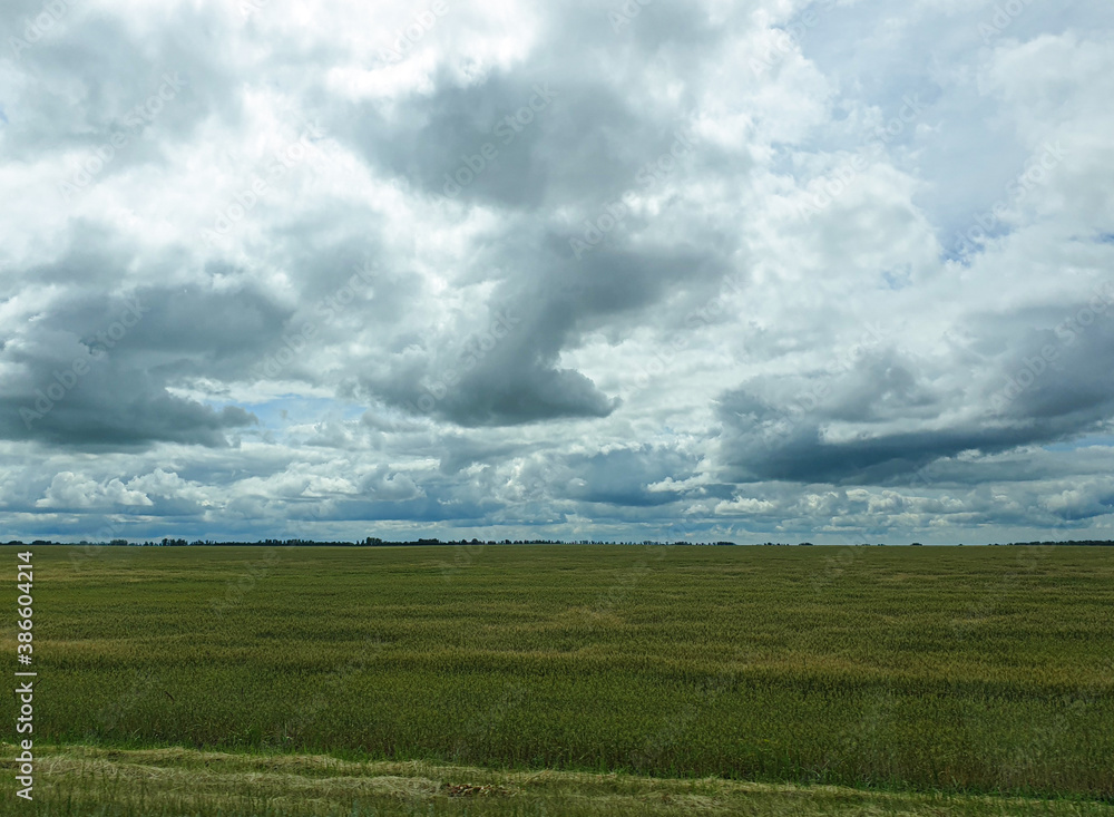 field and sky