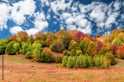 Fall landscape in the mountains. Mountain autumn scene with colorful trees in the forest