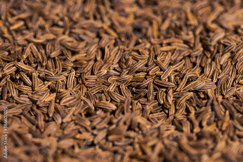 Close up of dried caraway seeds in dark grey cast iron pan for roasting spices