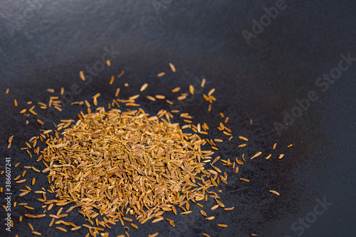 Close up of dried cumin seeds in dark grey cast iron pan for roasting spices photo