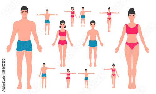 Human body anatomy. A man, a woman, a girl, a boy. Family in underwear, one arm raised, both arms spread out. A mannequin, dressmaker's model. A vector cartoon illustration.