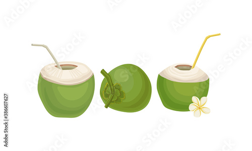 Green Coconut with Straw as Refreshing Drink Vector Set