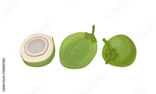 Whole and Halved Green Coconut Showing Copra Vector Set
