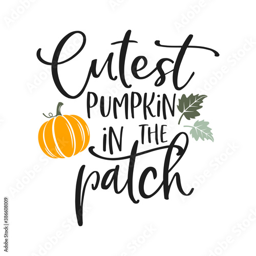 Cutest pumpkin in the patch slogan inscription. Vector quotes. Illustration for Thanksgiving for prints on t-shirts and bags, posters, cards. Isolated on white background. Thanksgiving phrase.