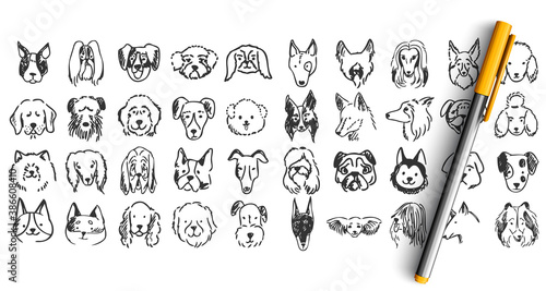 Dogs doodle set. Collection of hand drawn pencil ink drawing sketches templates patterns of domestic animals puppies dolmatins chihuahua pug spitz pets muzzles. Human friends illustration.