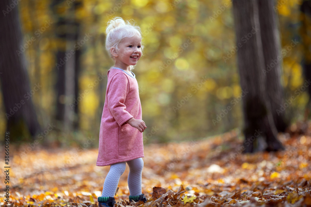 Small pretty girl with blond hair walking in the forest in sunny autumn day. Golden fall. Copy space Small pretty girl with blond hair walking in the forest in sunny autumn day. Golden fall. Copy space