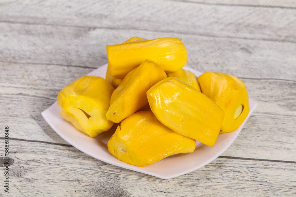 Tropical exotic fruit - Jackfruit tree Tropical exotic fruit - Jackfruit tree