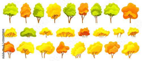 Autumn tree collection, different sizes and forms trees with green, orange, yellow leaves, autumn tree symbols, natural concept, landscape interface, forest or wood, organic plant in flat style
