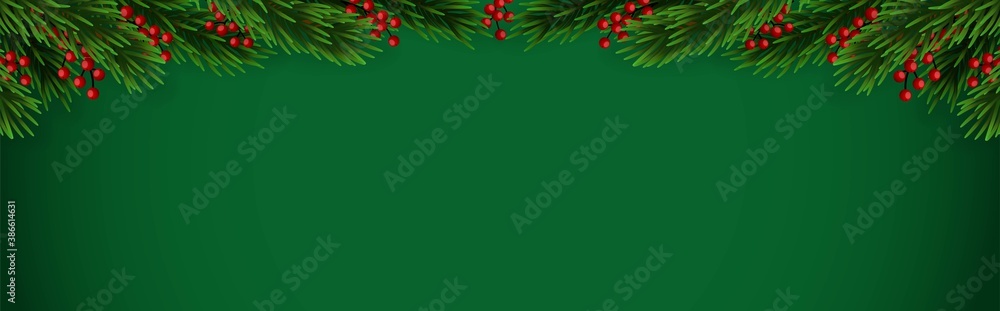 Fir branches with red berry Fir branches with red berry